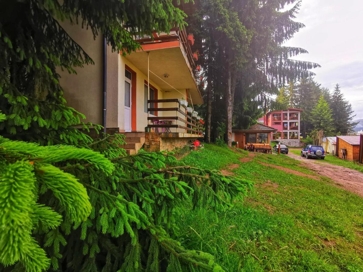 Orlino Holiday Park Sarnitsa ภายนอก รูปภาพ